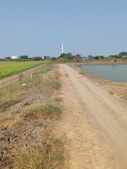 ขายที่ดิน บางนา-ตราด กม.36 อ.บางปะกง จ.ฉะเชิงเทรา ขายรวมทุกแปลงพร้อมถนนทางเข้า ถนนจรัญยานนท์ รูปที่ 3