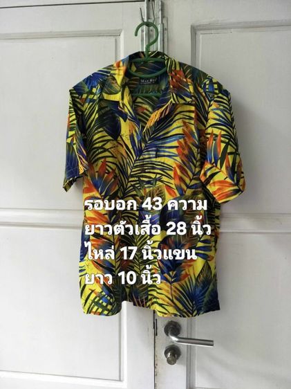 อื่นๆ เสื้อเชิ้ต อื่นๆ อื่นๆ แขนสั้น เสื้อมือสอง