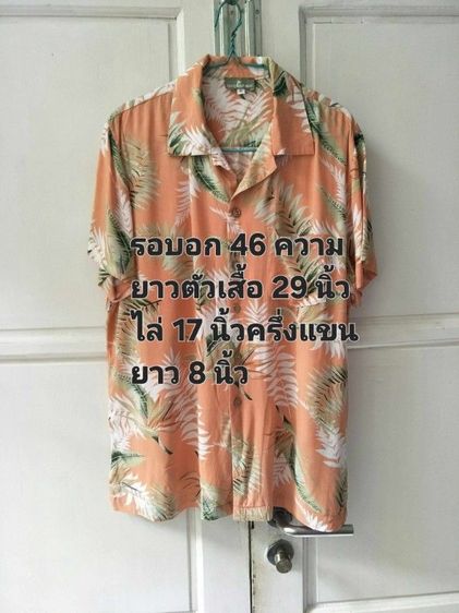 อื่นๆ เสื้อเชิ้ต XL อื่นๆ แขนสั้น เสื้อมือสอง