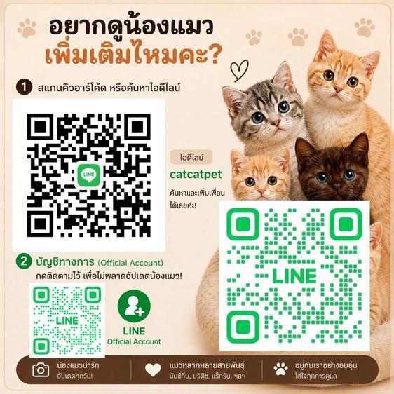 มันช์กิ้นขาสั้น รูปที่ 6