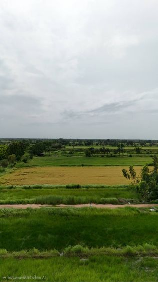 ขายที่ดินจัดสรร องครักษ์ นครนายก เหมาะสร้างบ้าน โฉนดครุฑแดง  พร้อมโอน รูปที่ 4