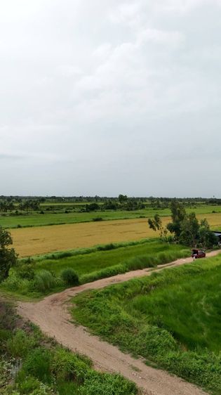 ขายที่ดินจัดสรร องครักษ์ นครนายก เหมาะสร้างบ้าน โฉนดครุฑแดง  พร้อมโอน รูปที่ 2