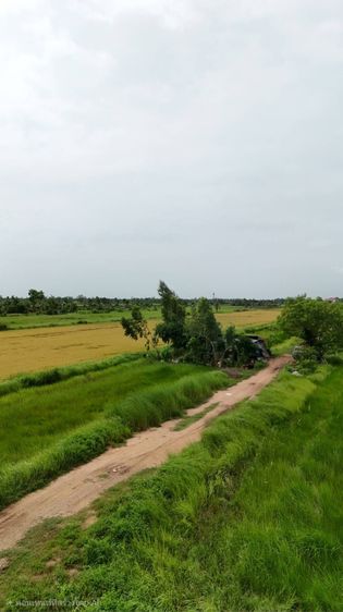 ขายที่ดินจัดสรร องครักษ์ นครนายก เหมาะสร้างบ้าน โฉนดครุฑแดง  พร้อมโอน รูปที่ 3