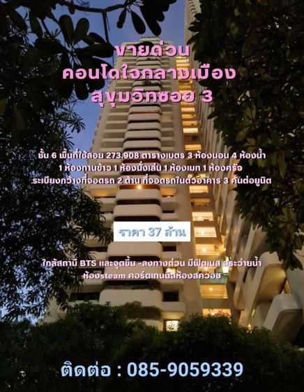 เลี้ยงสัตว์ได้ มีบางส่วน ขายคอนโดใจกลางเมือง