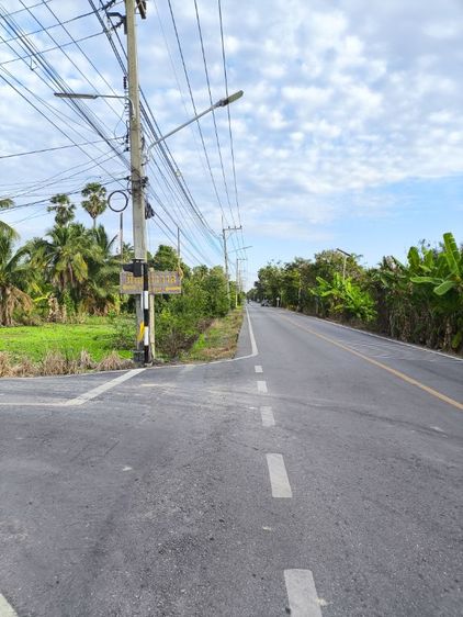 ให้เช่า ที่ดิน แปลงสวยติดถนนพุทธมณฑลสาย7 ด้านวัดไทยยาวาส นครชัยศรี รูปที่ 2