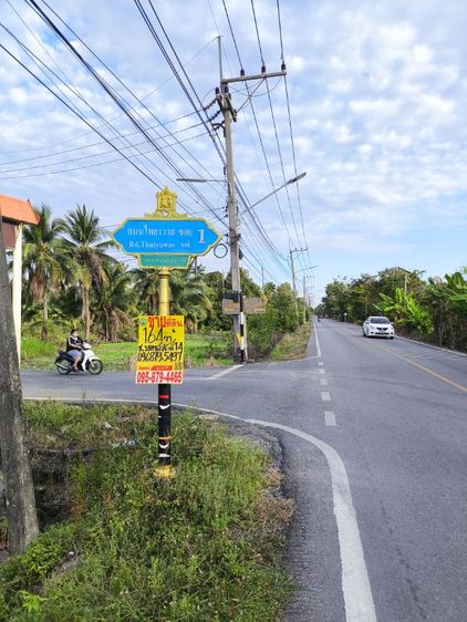 ให้เช่า ที่ดิน แปลงสวยติดถนนพุทธมณฑลสาย7 ด้านวัดไทยยาวาส นครชัยศรี รูปที่ 3