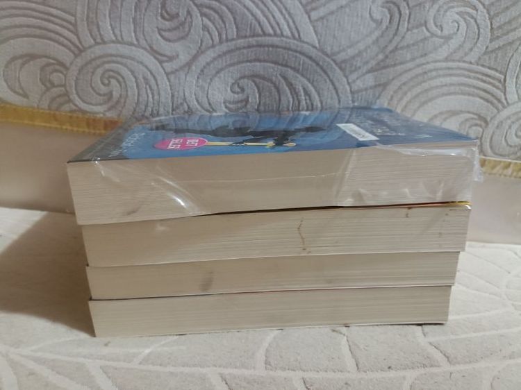 หนังสืออ่านเล่นสะสม รูปที่ 4