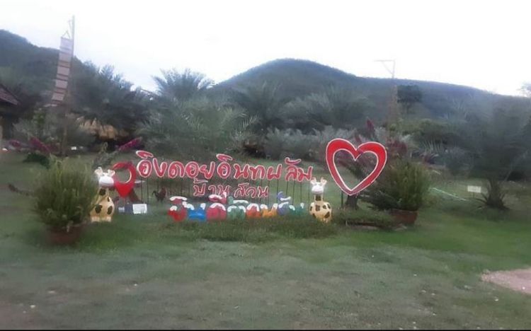 บ้านสวนอิงดอย อินทผลัม+ทุเรียน