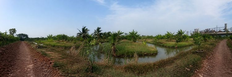 🌳 ขายที่ดินแปลงใหญ่ 64 ไร่ ติดถนนพหลโยธิน อำเภอหนองแค จังหวัดสระบุรี