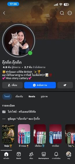 🐻 [เปิดจอง/หาบ้าน] British Shorthair คุณภาพสายเลือดดี หน้าหมี โครงสร้างตัน 🐻 รูปที่ 12