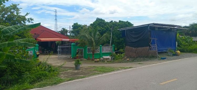 มีบางส่วน ใช่ บ้าน 2 หลัง ติดถนนหลีก สันป่าตอง ขายตำกว่าประเมิน รูปที่ 4