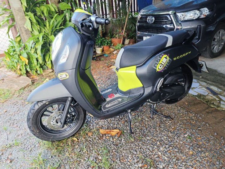 Scoopyป2022( 65 )