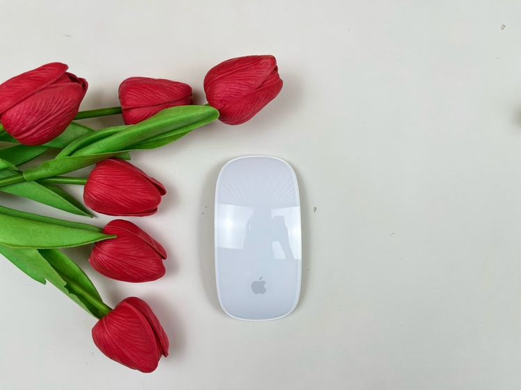 Apple Magic Mouse2 (Lightning)