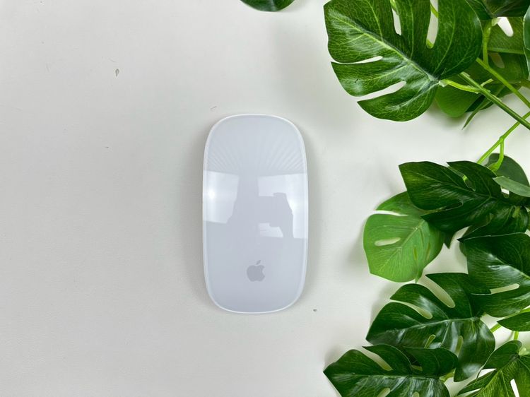Apple Magic Mouse2 (Lightning) 