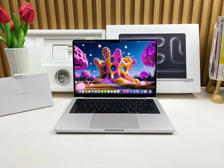 Apple Mackbook Pro 14 Inch แมค โอเอส 16 กิกะไบต์ อื่นๆ ใช่ MacBook Pro 14-inch M4  2024 Ram16GB SSD512GB Silver