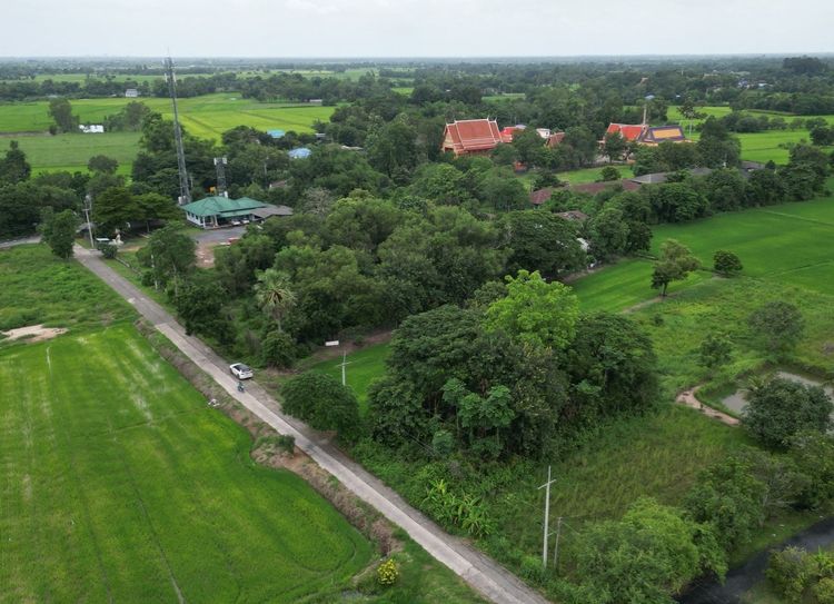ที่ดิน ต.พิกุลออก อ.บ้านนา จ.นครนายก แปลงสวย เหมาะทำบ้านสวน หน้าแปลงติดถนนคอนกรีต แหล่งชุมชน รูปที่ 4