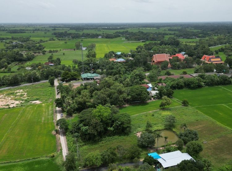 ที่ดิน ต.พิกุลออก อ.บ้านนา จ.นครนายก แปลงสวย เหมาะทำบ้านสวน หน้าแปลงติดถนนคอนกรีต แหล่งชุมชน รูปที่ 2