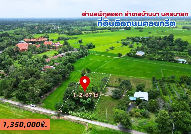 ที่ดิน ต.พิกุลออก อ.บ้านนา จ.นครนายก แปลงสวย เหมาะทำบ้านสวน หน้าแปลงติดถนนคอนกรีต แหล่งชุมชน