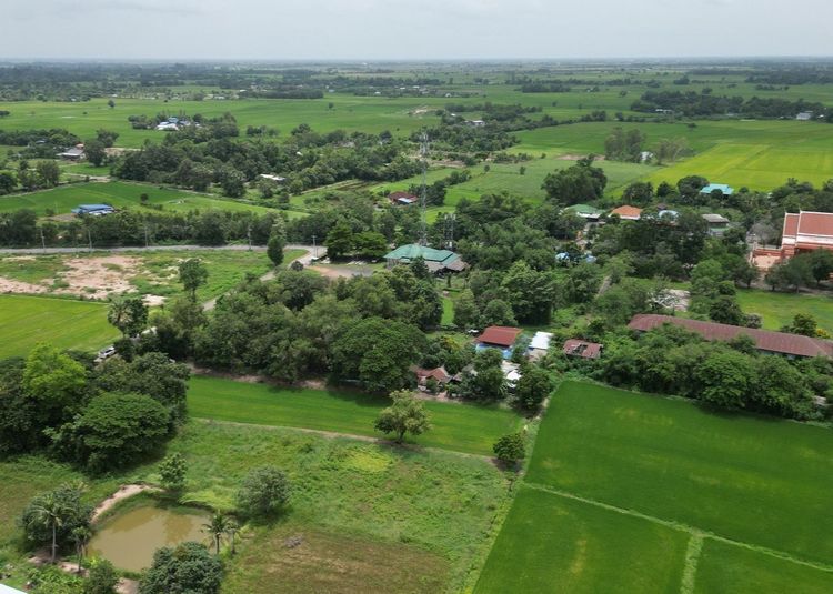 ที่ดิน ต.พิกุลออก อ.บ้านนา จ.นครนายก แปลงสวย เหมาะทำบ้านสวน หน้าแปลงติดถนนคอนกรีต แหล่งชุมชน รูปที่ 3