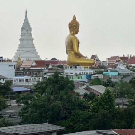 ขาย อาคารพาณิชย์ 1 คูหา ทำเลชุมชนตลาดพลูซอยเทอดไท 33 แขวงตลาดพลู