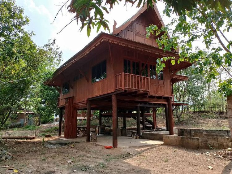 ขายบ้านไม้ยกสูงพร้อมที่ดิน 1ไร่