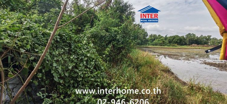 ที่ดินเปล่า 1071 ตร.ว. ที่ดิน ซอยแจ่มสุข ถนนรังสิต-ปทุมธานี ถนนเลียบคลองเปรมประชากร เมืองปทุมธานี ปทุมธานี รูปที่ 4