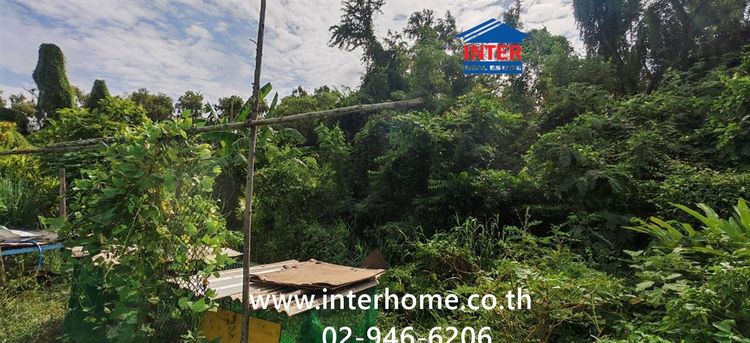 ที่ดินเปล่า 1071 ตร.ว. ที่ดิน ซอยแจ่มสุข ถนนรังสิต-ปทุมธานี ถนนเลียบคลองเปรมประชากร เมืองปทุมธานี ปทุมธานี รูปที่ 3