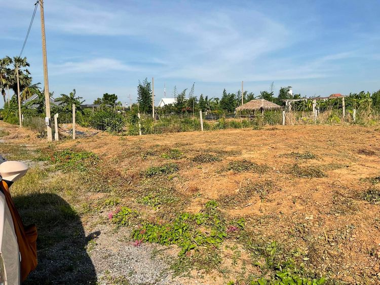 ขายที่ดิน กำแพงแสน 105 ตรว