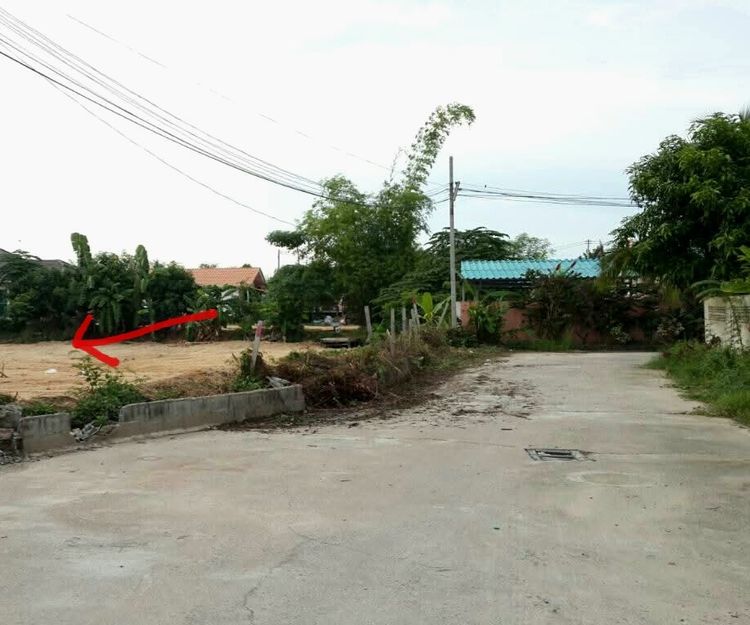 ขายที่ดินบางละมุง แปลงสวยตืดถนน