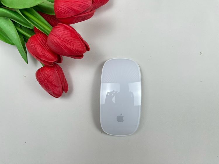 Apple Magic Mouse2 (Lightning)