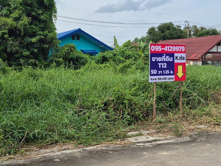 ขายที่ดิน พหลโยธิน 54ทับ1แยก843 ซอยตาลเดี่ยว 50 วาแปลงสวย ซอย2 คอนกรีตแปลงสุด ท้าย ทิศใต้ด่วน 1.25 ล้านบาทสุดท้าย หรือคุณจะเข้าสายไหมซอย 6  รูปที่ 4