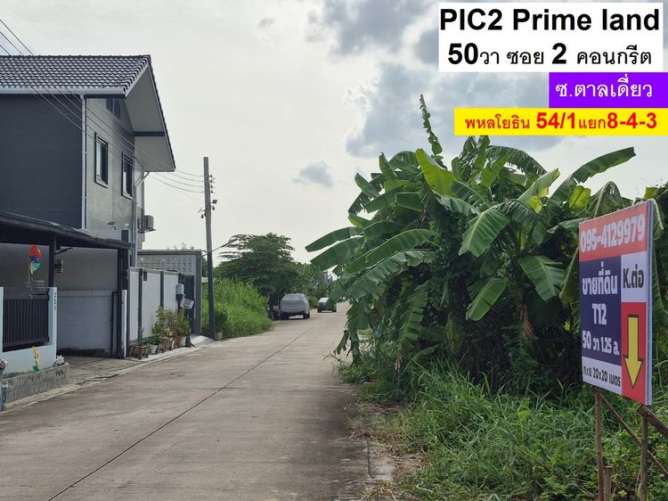ขายที่ดิน พหลโยธิน 54ทับ 1แยก843 ซอยตาลเดี่ยว 50 วาแปลงสวย ซอย2 คอนกรีตแปลงสุด ท้าย ทิศใต้ด่วน 1.25 ล้านบาทสุดท้าย หรือคุณจะเข้าสายไหมซอย 6 