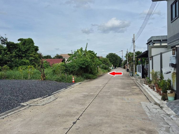 ขายที่ดิน พหลโยธิน 54ทับ 1แยก843 ซอยตาลเดี่ยว 50 วาแปลงสวย ซอย2 คอนกรีตแปลงสุด ท้าย ทิศใต้ด่วน 1.25 ล้านบาทสุดท้าย หรือคุณจะเข้าสายไหมซอย 6  รูปที่ 2