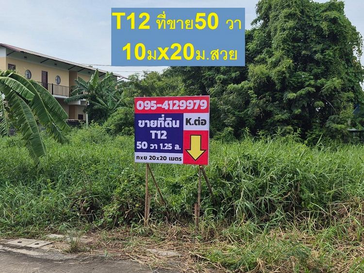 ขายที่ดิน พหลโยธิน 54ทับ 1แยก843 ซอยตาลเดี่ยว 50 วาแปลงสวย ซอย2 คอนกรีตแปลงสุด ท้าย ทิศใต้ด่วน 1.25 ล้านบาทสุดท้าย หรือคุณจะเข้าสายไหมซอย 6  รูปที่ 4