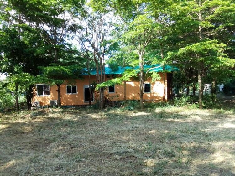 บ้านพร้อมที่ดินขนาด1ไร่ รูปที่ 3