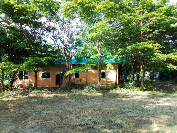 บ้านพร้อมที่ดินขนาด1ไร่ รูปที่ 2