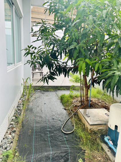 🏡 เจ้าของขายเอง — ขายเนื่องจากไม่ค่อยได้อยู่อาศัย รูปที่ 2