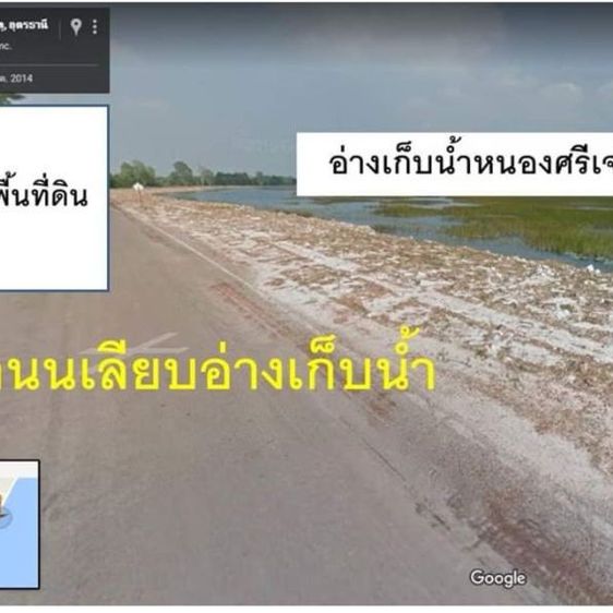 ขายที่อำเภอเพ็ญทำเลดี 40 ไร่