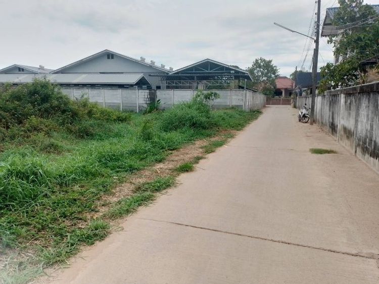 ขายด่วนที่ดิน 1 ไร่เนื้อที่สวยหลังแม็คโครสาขา 2
