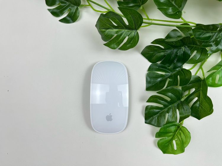 Apple Magic Mouse2 (Lightning) 