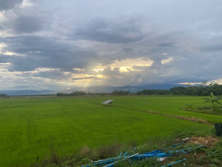  LAND FOR SALE  PAK CHONG LOM SAK PHETCHABUN  3 Rai 2 Ngan stunning 360 degree panoramic Mountain View of khao Khao รูปที่ 3