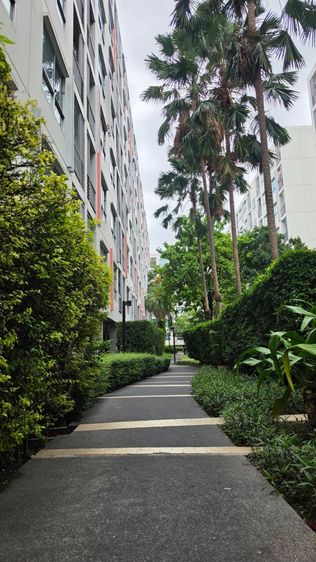 Sena Development ไม่อนุญาต มีบางส่วน ขายคอนโด เดอะนิช ไอดี พระราม 2 รูปที่ 2