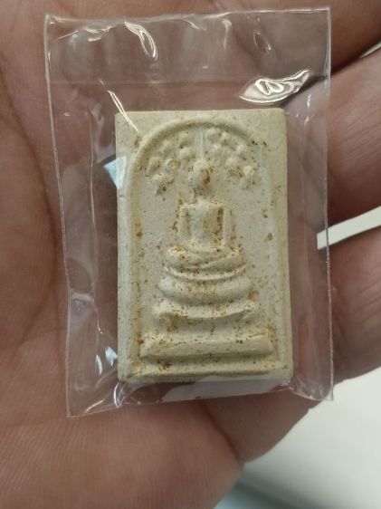 พระสมเด็จปรกโพธิ์  ของ หลวงพ่อคูณ ปริสุทโธ วัดบ้านไร่