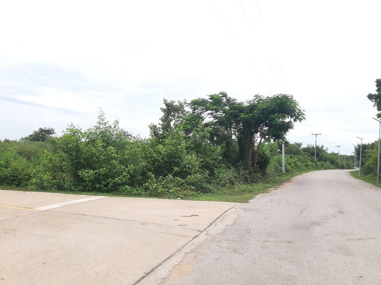 ขายที่ดิน 49 ไร่ ต.เกาะคา อ.เกาะคา ลำปาง ไร่ละ 3 แสน รูปที่ 3
