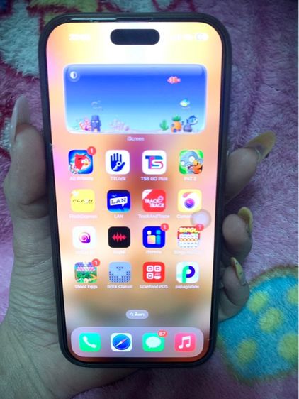 16 pro max รูปที่ 8