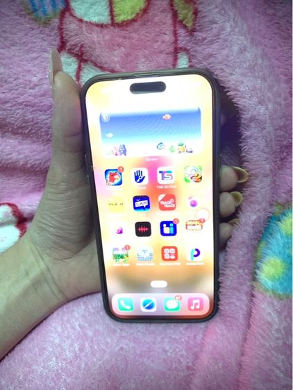 16 pro max รูปที่ 10