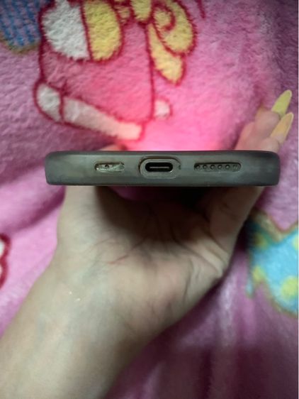 16 pro max รูปที่ 5