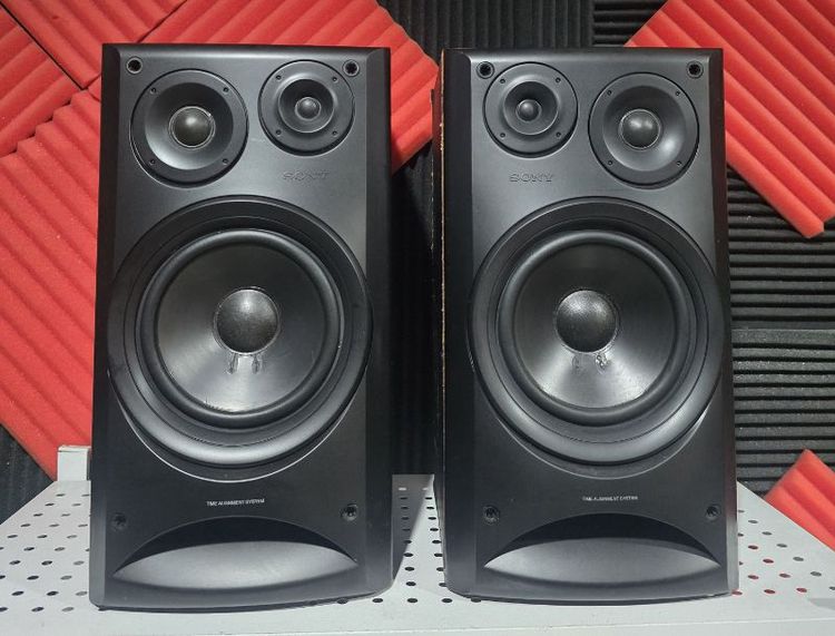 ลำโพง SONY EX90G
