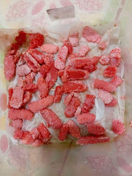 ไข่หอยเชอรี่สีทอง
