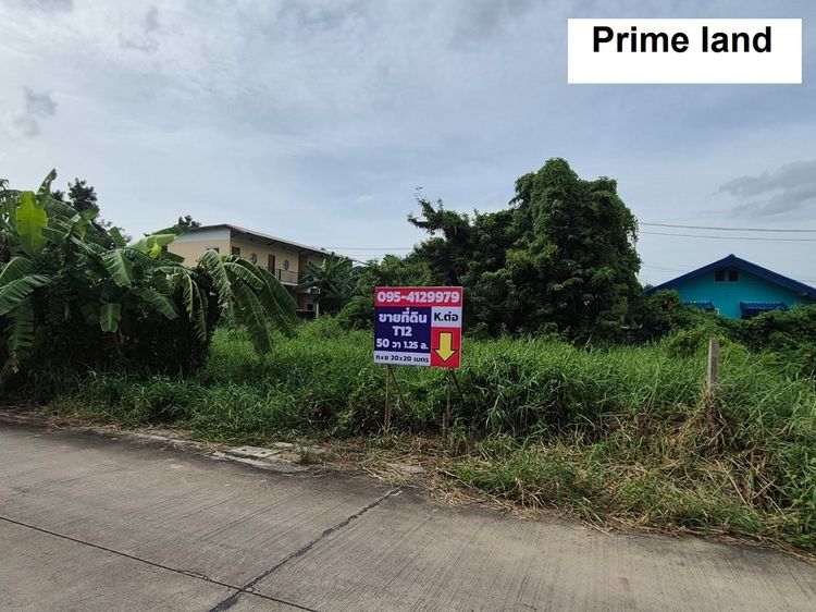 ขายที่ดิน พหลโยธิน 54ทับ1แยก843 ซอยตาลเดี่ยว 50 วาแปลงสวย ซอย2 คอนกรีตแปลงสุดท้ายเก็บไว้ ทิศใต้รอบซื้อหมดแล้ว ด่วน 1.25 ล้านไม่ลดครับผมด่วนน รูปที่ 4